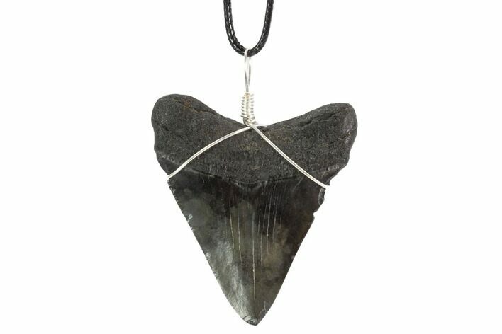 Fossil Megalodon Tooth Necklace #95234